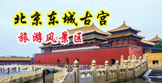 www.大屌中国北京-东城古宫旅游风景区